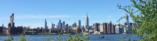The 5 Best Things to Do in Manhattan (Chosen by mrs L)