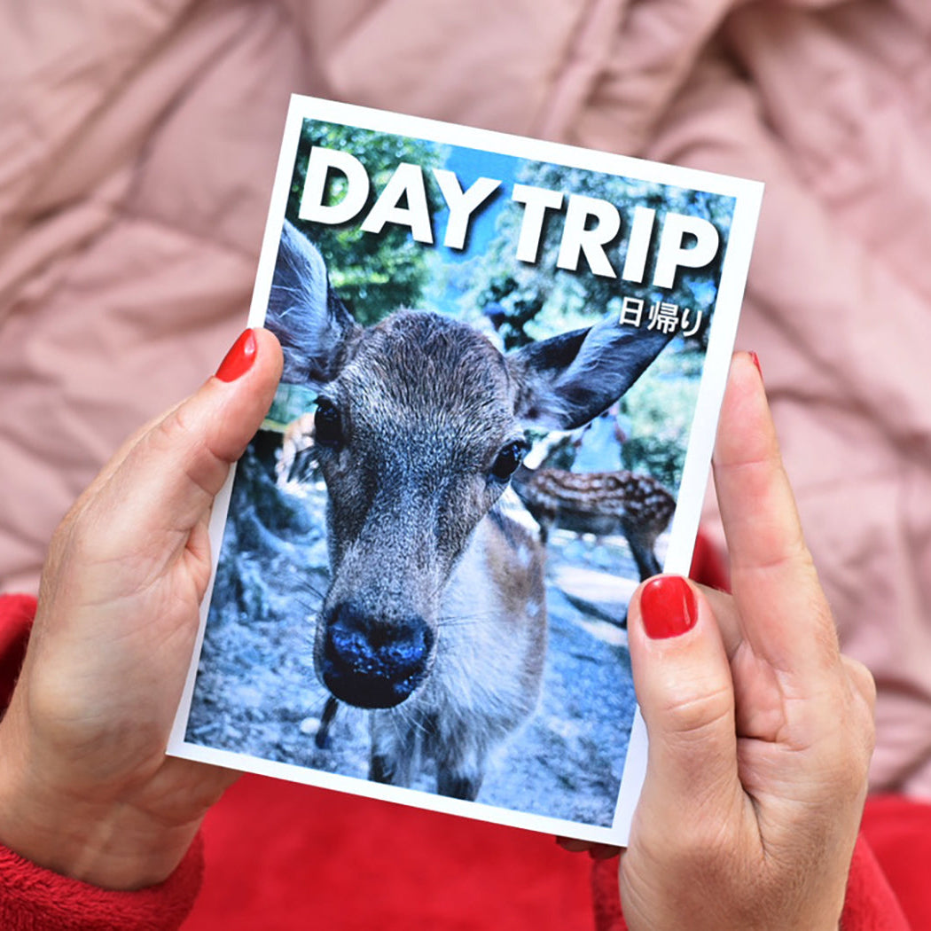 A person holding a small printed card titled "DAY TRIP" with a deer photo on the cover, photographed against pink bedding and a red sweater.